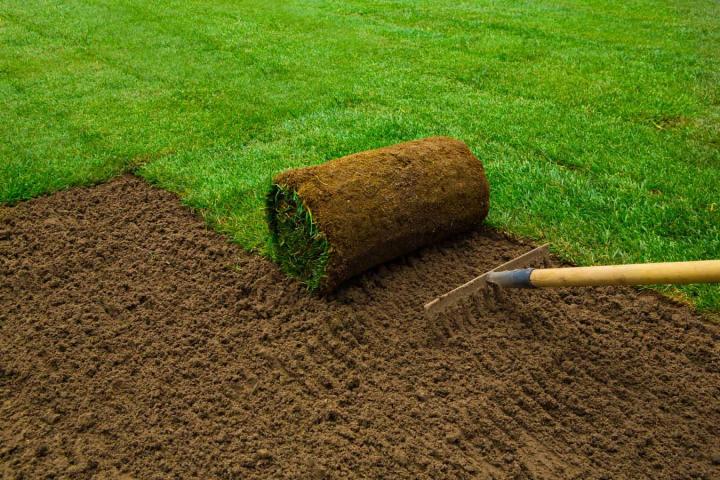 Engazonnement de jardin Landerneau