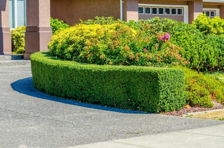 Terrassement paysager Landerneau